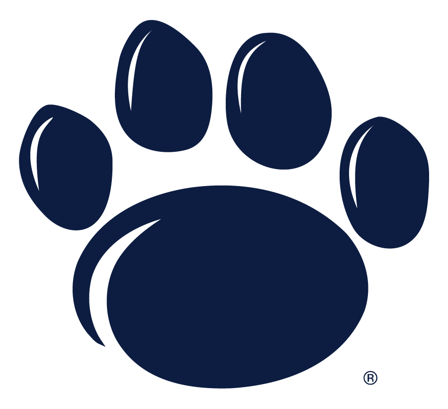 Penn State Nittany Lions 2005-Pres Secondary Logo diy iron on heat transfer